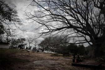 Carrillo 026