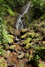 Manuel Antonio 289