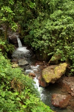 Manuel Antonio 300