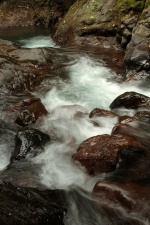 Manuel Antonio 414