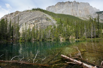 Rockies 272