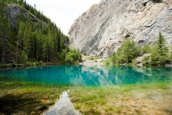 Rockies 313