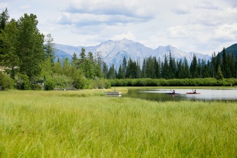 Rockies 413