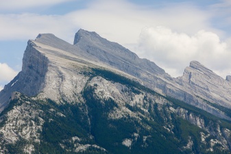 Rockies 467