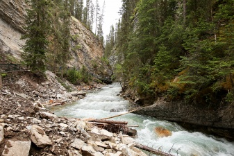 Rockies 556
