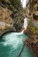 Rockies 659