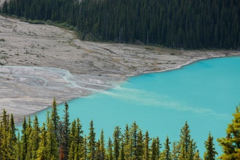 Rockies 2497