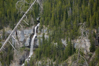 Rockies 2683