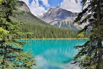 Rockies 4693