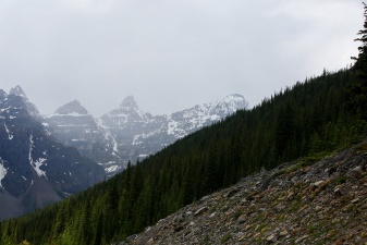 Rockies 4769