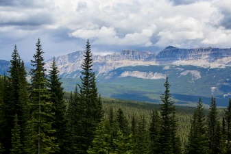 Rockies 4785