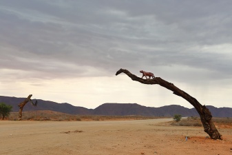 Africa 2017 0541