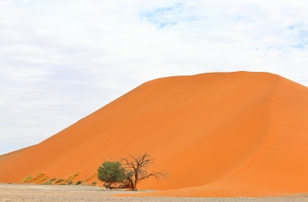 Africa 2017 0623