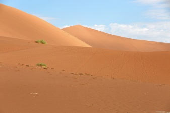 Africa 2017 0931