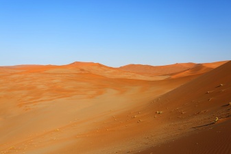 Africa 2017 1046