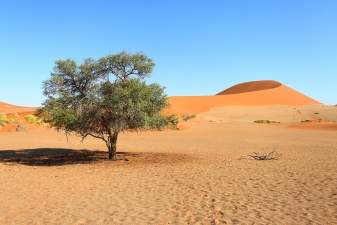 Africa 2017 1057