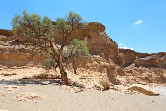 Africa 2017 1089
