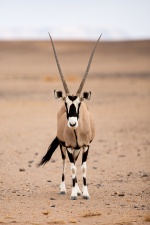 Africa 2017 1161
