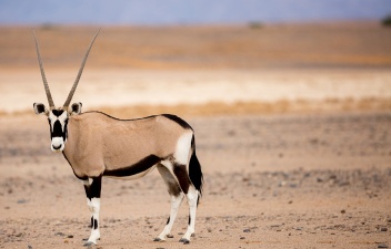 Africa 2017 1171