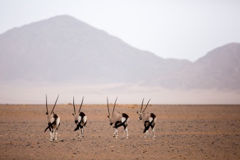 Africa 2017 1212