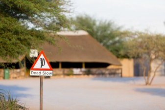 Africa 2017 1386