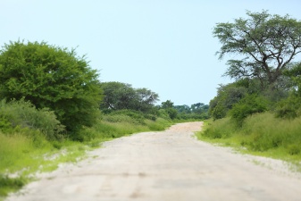 Africa 2017 2530