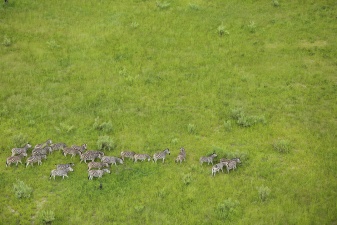 Africa 2017 2705