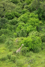 Africa 2017 2754