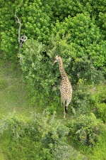 Africa 2017 2785