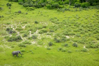 Africa 2017 2831