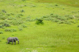 Africa 2017 2852