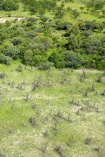 Africa 2017 2869