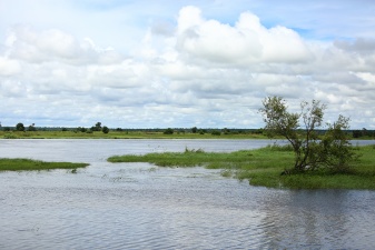 Africa 2017 2933
