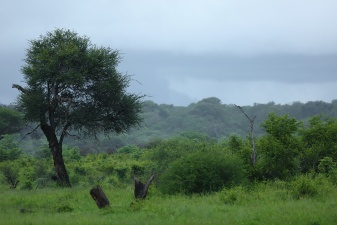 Africa 2017 3004