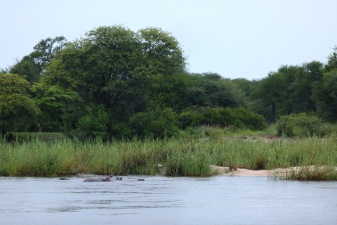 Africa 2017 3015