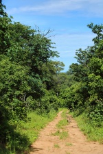 Africa 2017 3072