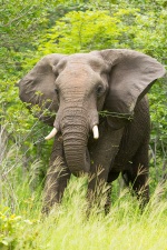 Africa 2017 3338