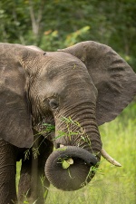 Africa 2017 3426
