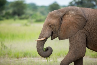 Africa 2017 3556