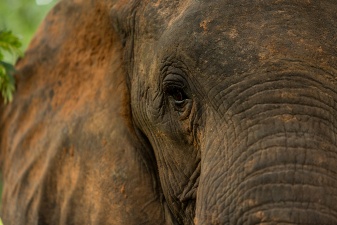 Africa 2017 3594