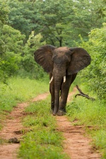 Africa 2017 3634