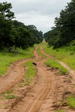 Africa 2017 3790