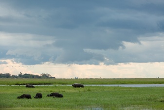 Africa 2017 3894