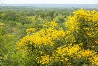 Africa 2017 3988