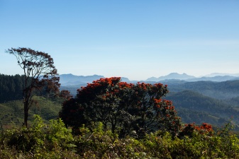 Asia 2017 2751