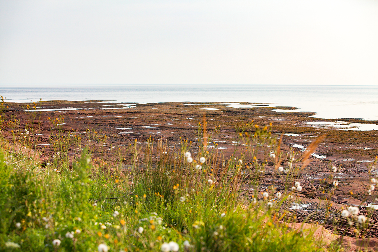 Roadtrip 2015 - Part 2 101.jpg