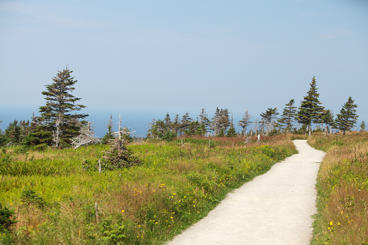 Roadtrip 2015 - Part 2 451.jpg