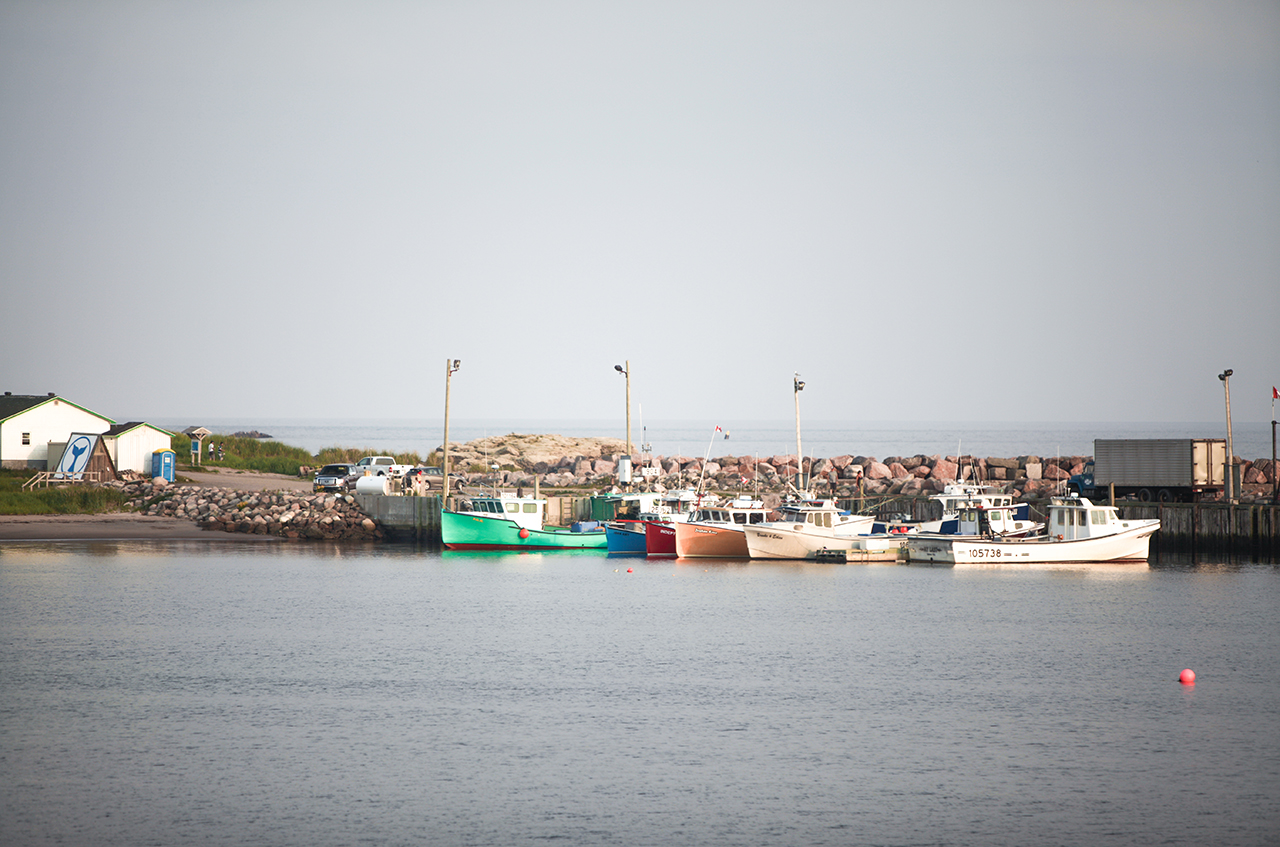 Roadtrip 2015 - Part 2 882.jpg
