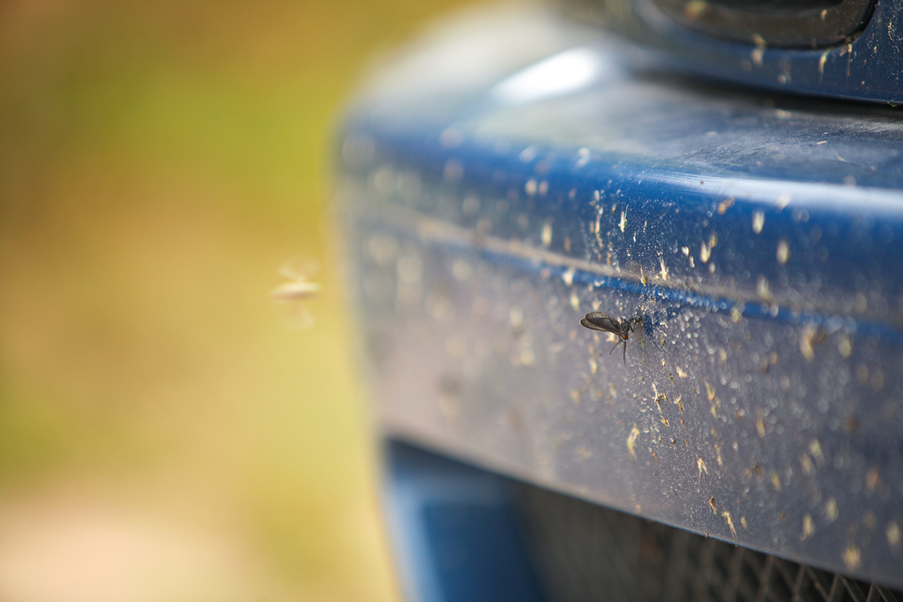 Roadtrip 2015 - Part 3 341.jpg