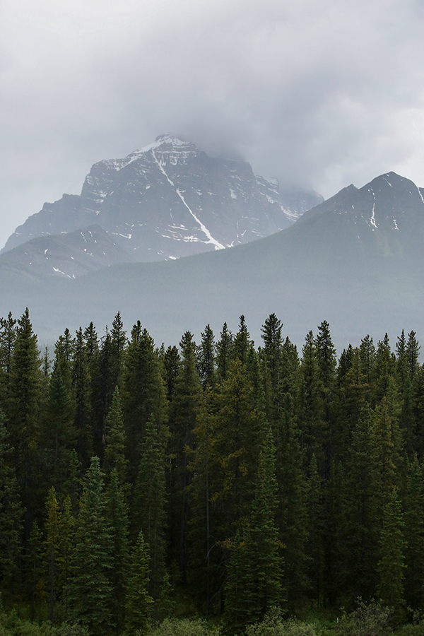 Rockies 1169.jpg